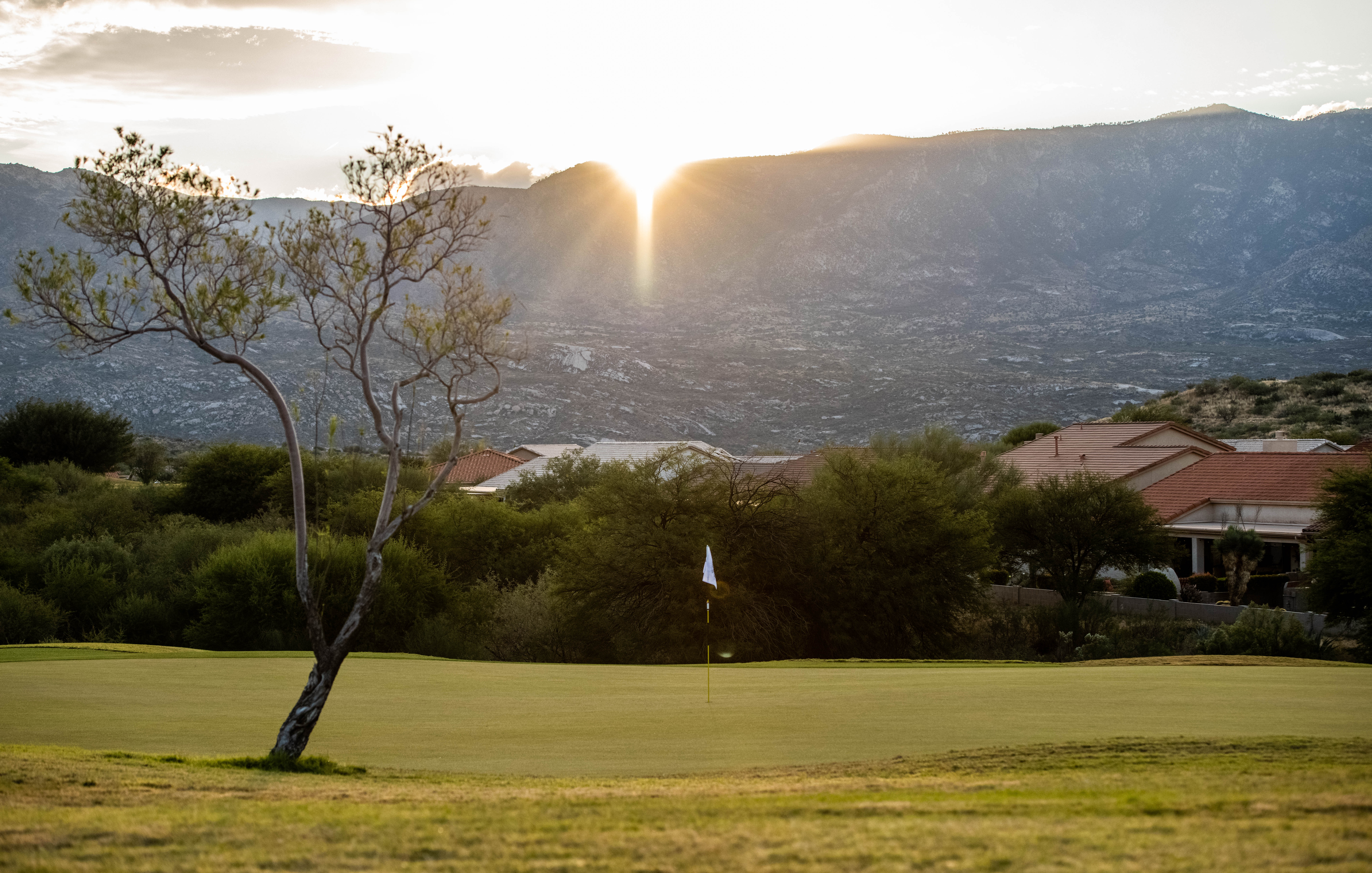 flag near tree with mountains behind the course